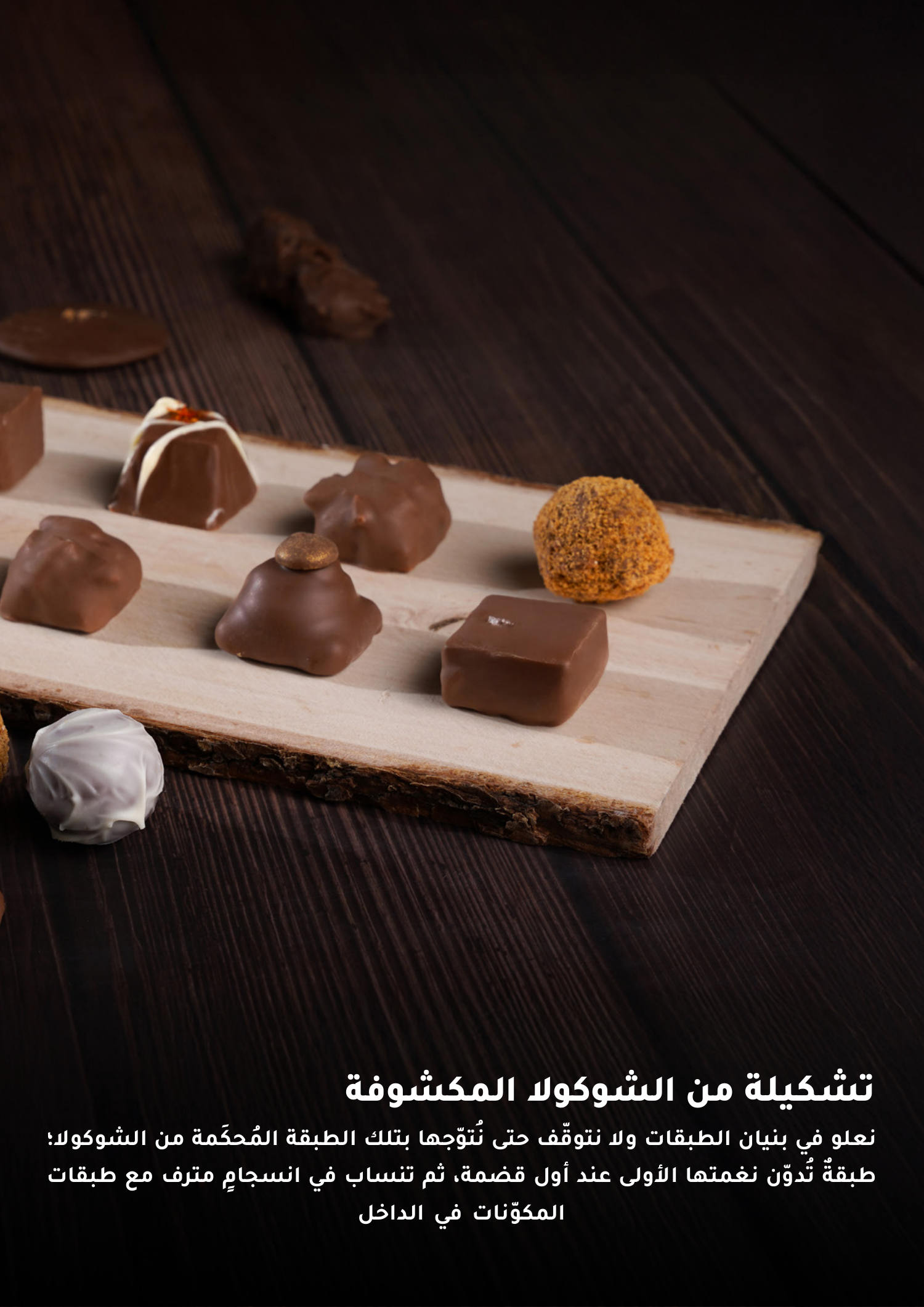صفحة 41 من كتالوج EDC